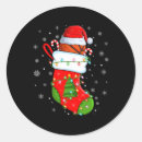 Search for funny socks stickers Funny santa claus