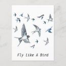 Search for swallow postcards Hirundo rustica