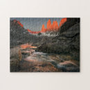 Search for patagonia puzzles Outdoors