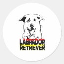 Search for i love my labrador stickers Retriever