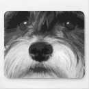 Search for miniature schnauzer mouse mats Pet