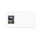 Search for panda bear return address labels Pandas