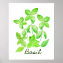 Search for basil posters Food