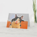 Search for tuxedo cat cards Humour