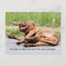 Search for laugh horizontal postcards Dog