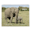 Search for african calendars Cheetah