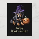Search for dachshund dog postcards Cute