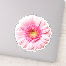 Search for teen laptop cases Pastel