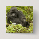 Search for rwanda badges Gorilla