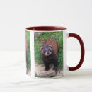 Search for polecat mugs Mustelids