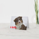 Search for australian shepherds cards Dog