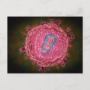 Search for nucleus postcards Microbiology
