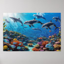 Search for reefs posters Marine biology