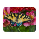 Search for tiger lily magnets Yellow