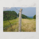 Search for barb wire postcards Sky
