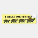 Search for cute turtle bumper stickers Slow