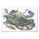Search for aquatic posters Seafood