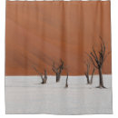 Search for leafless White
