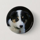 Search for border collie dog badges Bob and pam langrish