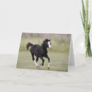 Search for foal cards Black and white