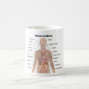 Search for human organs mugs Anatomy