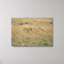 Search for siblings canvas prints Horizontal
