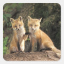 Search for fox cubs stickers Animal