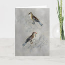 Search for aviary cards Birds