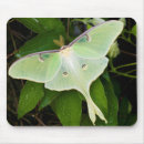 Search for clematis mouse mats Superstock