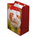 Search for guinea pig gift bags Funny