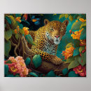 Search for rain forest Animal