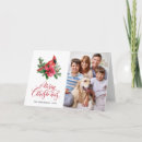 Search for cardinal photo christmas cards Rustic