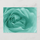 Search for turquoise roses postcards Flower