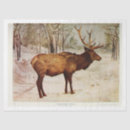 Search for elk gift wrap Ephemera