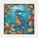 Search for kingfish magnets Birds