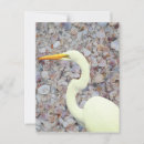 Search for shell vertical postcards Sea