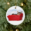 Search for sleeping cat christmas tree decorations Pet