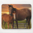 Search for digital horse mouse mats Animals