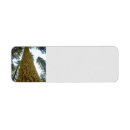 Search for fir return address labels Nature