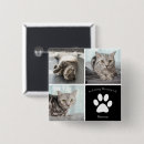 Search for cat paw print badges In loving memory