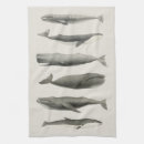 Search for whale tea towels Under the sea