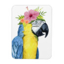Search for parrot magnets Birds