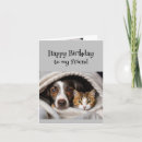 Search for fun cat birthday cards Friend