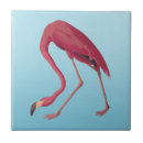 Search for flamingo tiles Pink