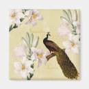 Search for white lily magnets Beautiful