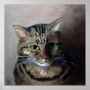 Search for tabbycat Cats