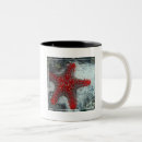 Search for reef mugs Sailboat
