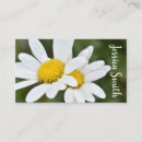 Search for daisy business cards White