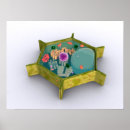 Search for eukaryotic posters Illustration