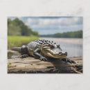 Search for full postcards Nature